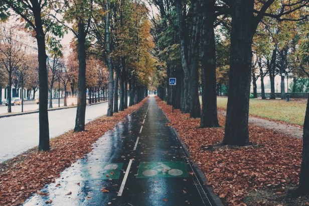 Моя любимая парижская велодорожка.