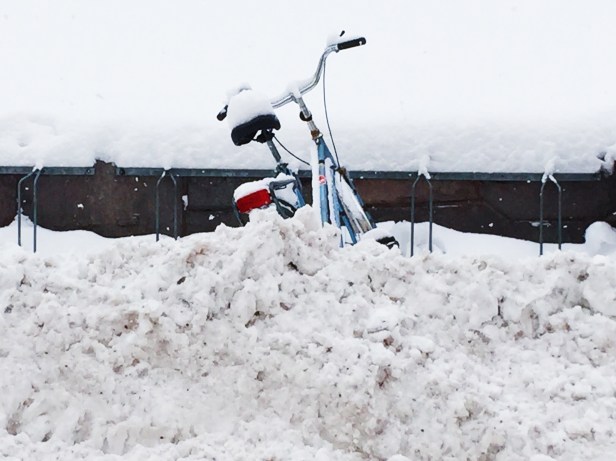 Этот снег сгребли с дороги, но он все равно чистый.