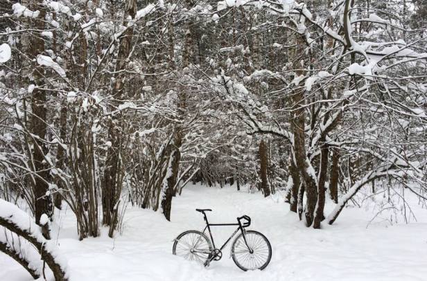 12316236_790306301080026_3957952655473067237_n