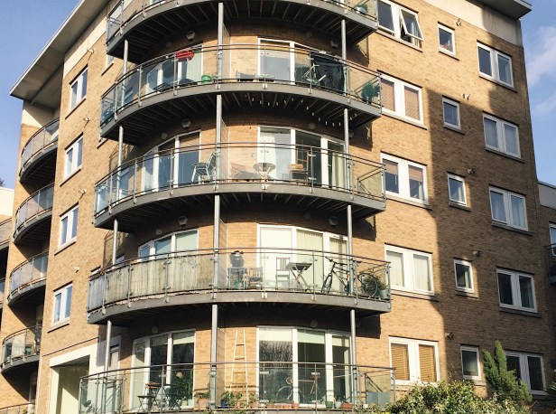 Processed with VSCO with a1 preset